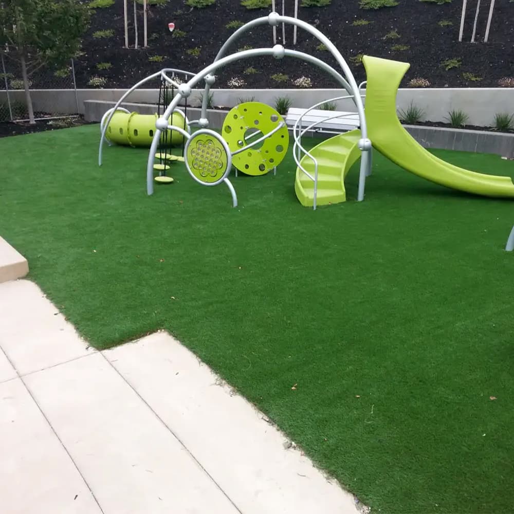 Schools artificial turf in Dallas