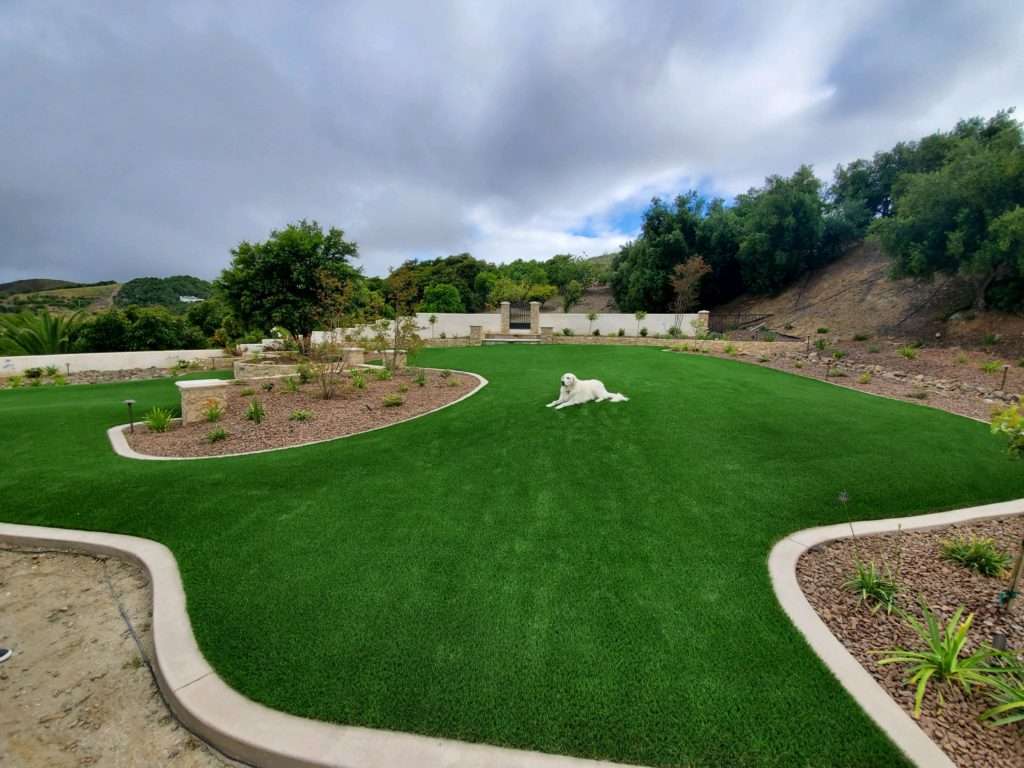 Commercial Turf